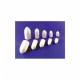 Conos De Fieltro Polirapid 50/45x25 Ø 25 mm 12 u.