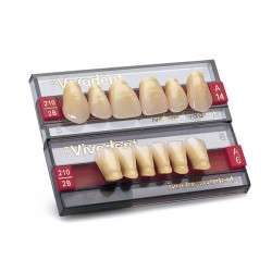 SR VIVODENT CHROMASCOP Dientes Superiores - IVOCLAR