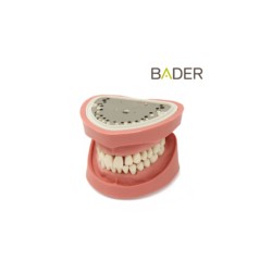 Tipodonto Clónico BADER DENTAL