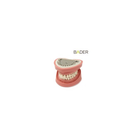 Tipodonto Clónico BADER DENTAL