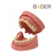 Tipodonto Clónico BADER DENTAL