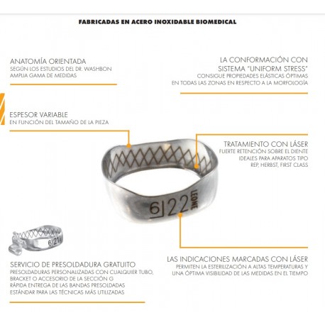 Bandas Anatómicas WEB - Primeros Molares  10 uds- LEONE