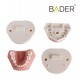Tipodonto infantil AK6 Bader con PLACA BASE BADER D