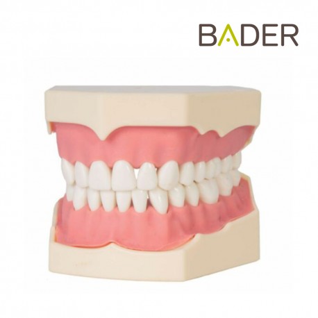 Tipodonto AG3 BADER OFERTA