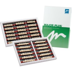 DIENTES MAJOR SUPER LUX ANTERIORES SUPERIORES - MAYOR