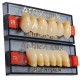 Tablilla Acry Lux V Dientes Superiores