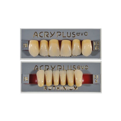 Tablilla Acry Plus Evo Dientes Inferiores
