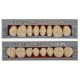 Tablilla Acry Plus Evo Molares Inferiores