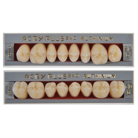 Tablilla Acry Plus Evo Molares Inferiores