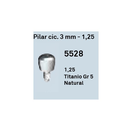 Pilar Cic. 3 mm - 1.25 Hexágono Externo