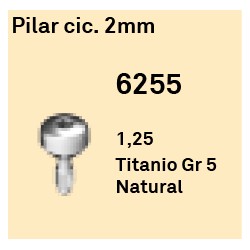 Pilar Cic. 2 mm Hexágono Interno