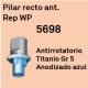 Pilar Recto Ant. Rep WP Trilobulada Interna